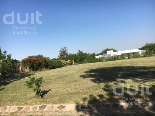 Imagen 3 de 8 de Terreno - Causana