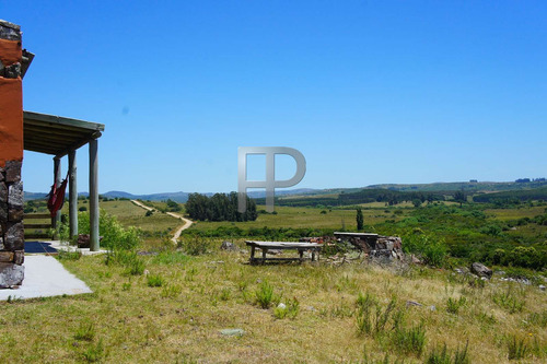 Imagen 3 de 14 de Chacra En Venta San Carlos 4 Dormitorios, 16 Hectáreas