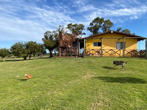 Imagen 24 de 27 de Campo 22 Has Con Casa, Cerca De Pueblo Edén - Pueblo Eden