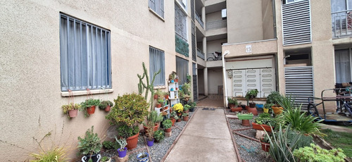 Arriendo Depto 3 Dorm. 1 Baño Comuna El Bosque