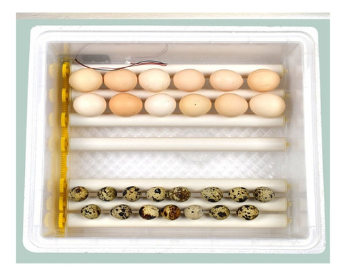 24 Ovos Dupla Poder Automático Chick Incubator Casa