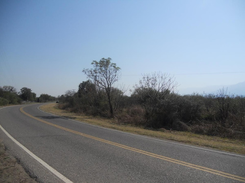 Imagen 4 de 14 de Campo En Venta De 53000m2 Ubicado En La Paz Cordoba. A 15 Kms Merlo (s.l)