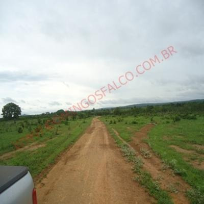 Venda - Fazenda - Zona Rural - Paranatinga - Mt - D8160