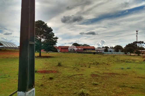 Imagem 12 de 16 de Terreno - Comercial - 928154
