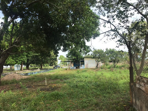 Imagen 9 de 14 de Se Vende Finca En La Vía Al Sur