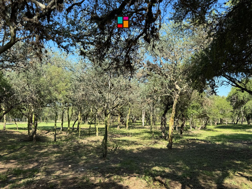 Venta De Casa En Carpinteria A Minutos De Merlo