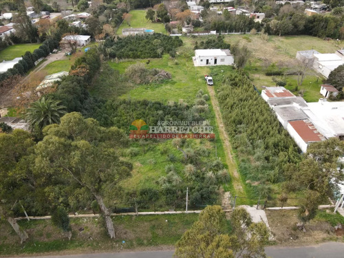 Terrenos En Venta 5288 M2 En Dos Padrones, Paso De La Arena