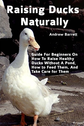 Raising Ducks Naturally Guide For Beginners On How To Raise 