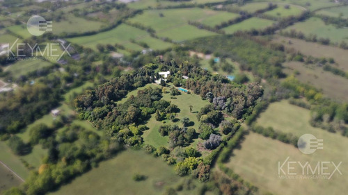 Campo - Villa Elisa