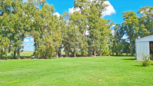 Campo En General Alvear