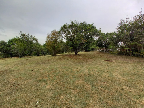 Imagem 13 de 17 de 5.000 Terreno Com Excelente Topografia ( Condomínio )