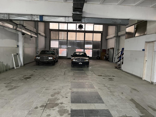 Imagen 9 de 17 de Alquiler Importante Local/deposito En Mar Del Plata !
