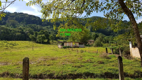 Imagem 7 de 30 de Juquiá/sitio Com Pupunha/ Pasto E 05 Lagos Para Pesqueiro - 04857 - 34121206