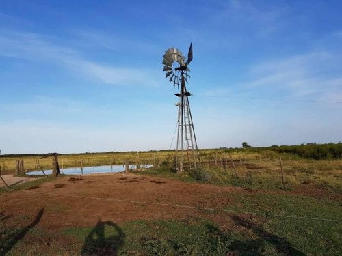 Imagen 5 de 8 de Vendo 90 Hectáreas Campo, Oportunidad
