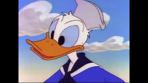 Patoaventuras Ducktales Serie Completa Y Pelicula