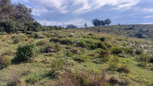 Campo De 80 Has En Paraje Carape Con Costa De Arroyo.