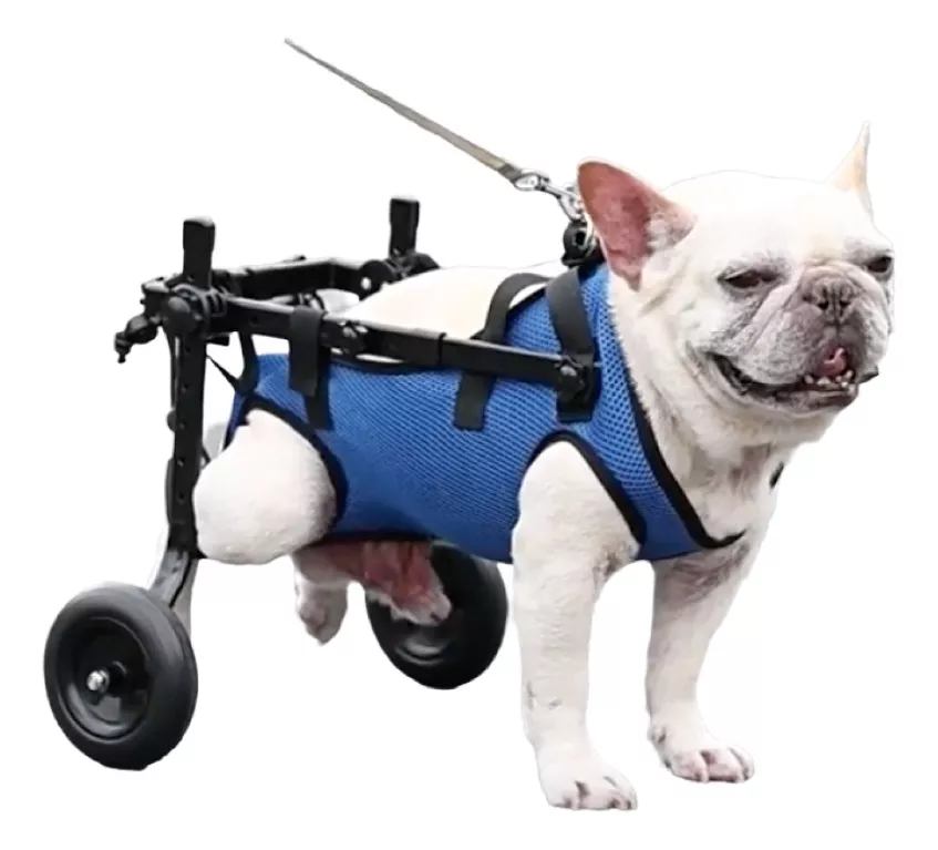 Tercera imagen para búsqueda de silla de ruedas para perros