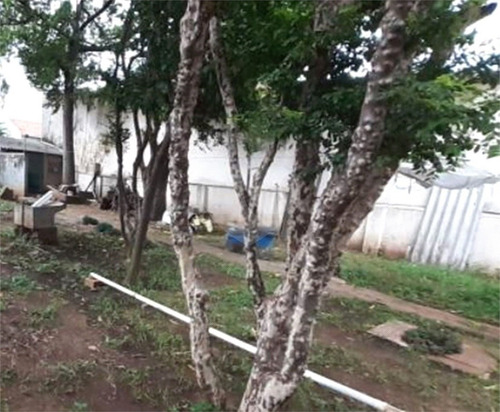 Imagem 14 de 16 de Terreno 13 X 60 Totalizando 780m2, Contendo Um Sobrado Antigo, Próximo Ao Metro Santana. - Reo696842