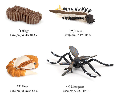 2 Figuras De Crecimiento De Mosquitos Y Insectos Para Niños