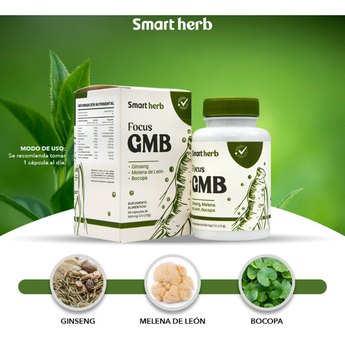 Smart Herb Paquete 2 piezas Focus GMB Anahuac Gingseng Suplemento alimenticio Sin sabor