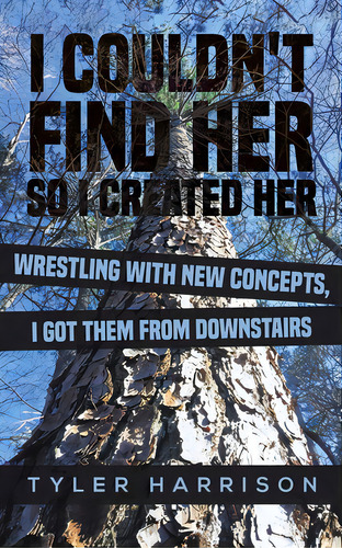 I Couldn't Find Her So I Created Her, De Harrison, Tyler. Editorial Austin Macauley, Tapa Blanda En Inglés