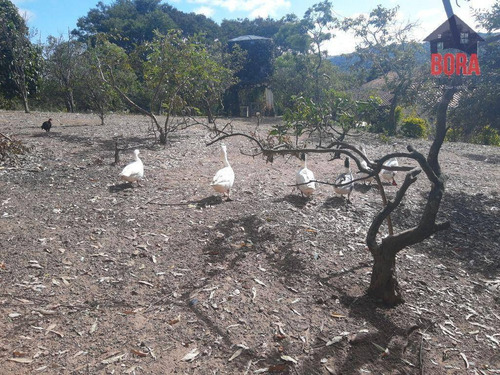 Imagem 17 de 30 de Chácara Com 4 Dormitórios À Venda, 12500 M² Por R$ 750.000,00 - Campo Largo - Atibaia/sp - Ch0385