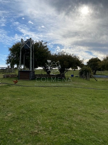 Imagen 9 de 12 de Campo Con Casa En Pueblo Eden - Pueblo Eden