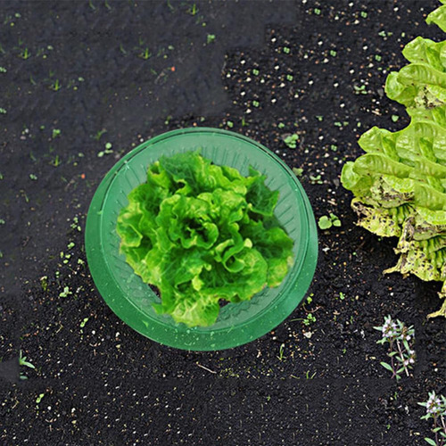 Anillos De Protección De Caracoles Para Plantas Protectores
