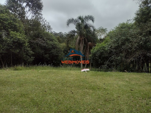 Imagem 1 de 5 de Terreno - Te00111 - 71128102