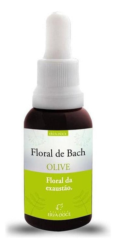 Floral De Bach Olive Energia E Motivação 30ml