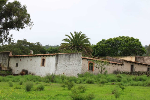 Imagen 12 de 14 de Rancho Ganadero En Venta En Nopala Hidalgo.
