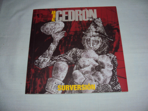 Qc Catalogo Surversion - Anibal Cedron - Museo Sivori 2013