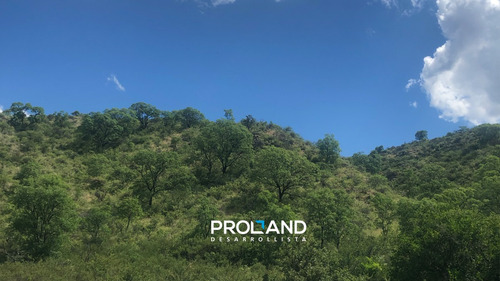 Lotes Con Escritura En Venta 30 Hectáreas. - Campo Nativo - Cruz Del Eje - Córdoba - Terrenos Con Financiación