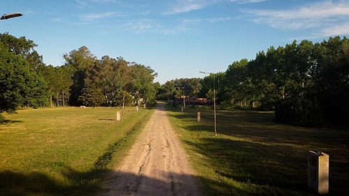Imagen 7 de 10 de Terreno - Villa Elisa