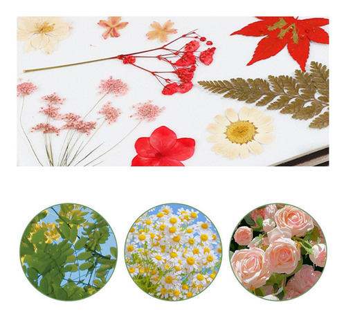 Kit De De Flores, Máquina De Estampado Para 15 Cmx15cm