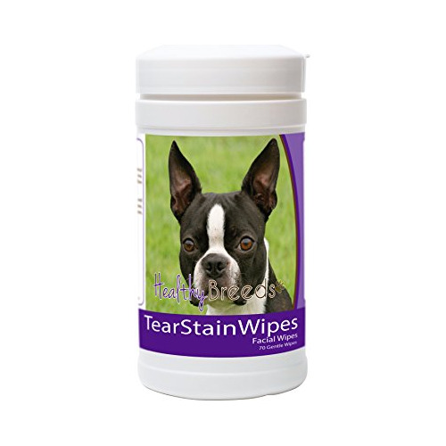 Razas Saludables Boston Terrier Lágrimas Manchas 70 73myo