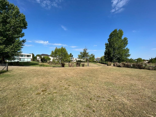 Imagen 2 de 4 de Terreno En Venta En Terravista