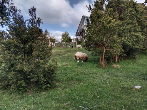 Hermosa Parcela Con Servidumbre Privada Al Lago Llanquihue