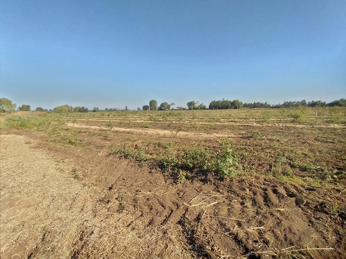 Terreno Agrícola En Venta, Campo De 60 Ha, Teno