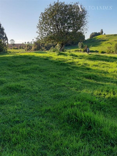 Imagen 5 de 19 de Sitio En Venta En Los Muermos