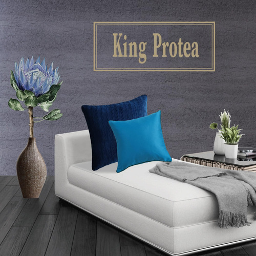 King Protea Blue Atolle Atolle Decorative Show Counta De Alm