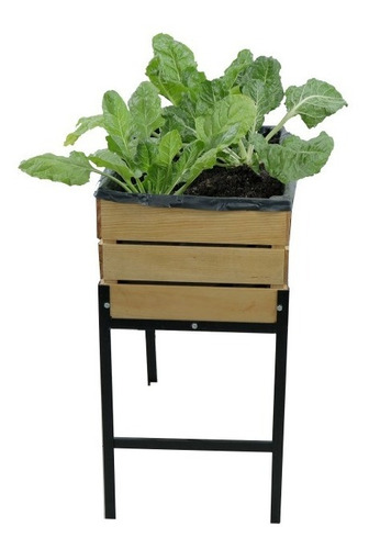 Cama De Cultivo De Hortalizas - Huerto Urbano Con Semillas