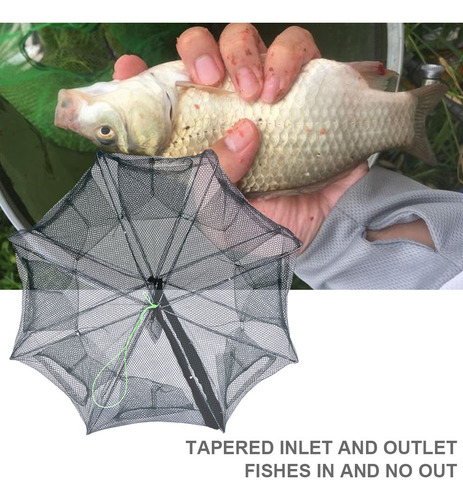 Trampa Plegable Para Cangrejos, Camarones, Peces, Langostino