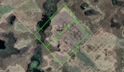 Imagen 2 de 6 de En Venta 62ha, Campo Mixto, Agro-ganadero En Bermúdez (bs As).
