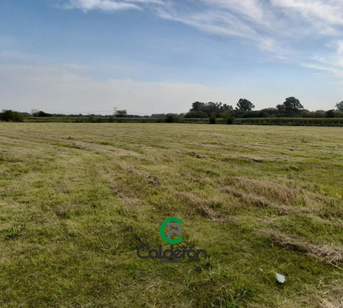 Terreno En Venta En Polo Industrial , General Rodríguez, G.