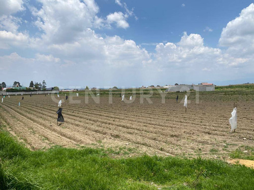 Terreno En Venta En Capultitlán, Toluca, Estado De México