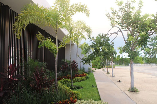 Imagen 8 de 30 de Terreno/lote En Venta En Mérida, Cholul En Privada Albarella