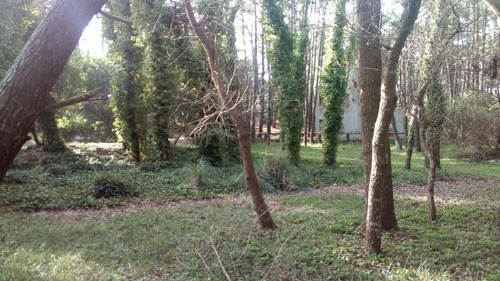 Imagen 6 de 8 de Terreno En Venta En Mar Azul