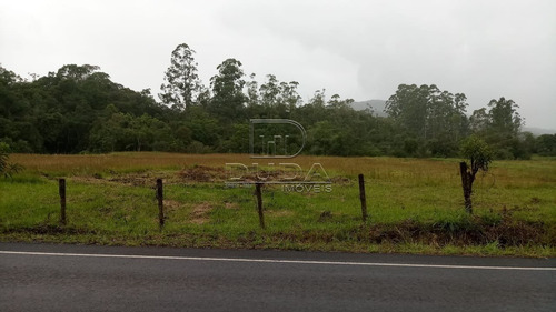 Imagem 3 de 8 de Sitio - Vila Maria - Ref: 33009 - V-33006