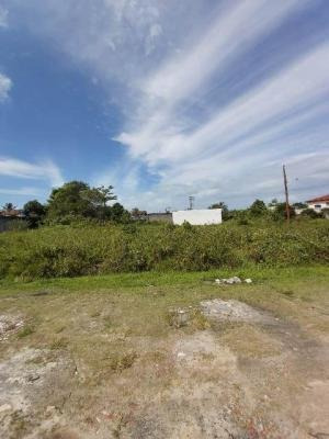 Imagem 4 de 5 de Terreno No Litoral Em Itanhaém Lado Praia! - 7966 Lc